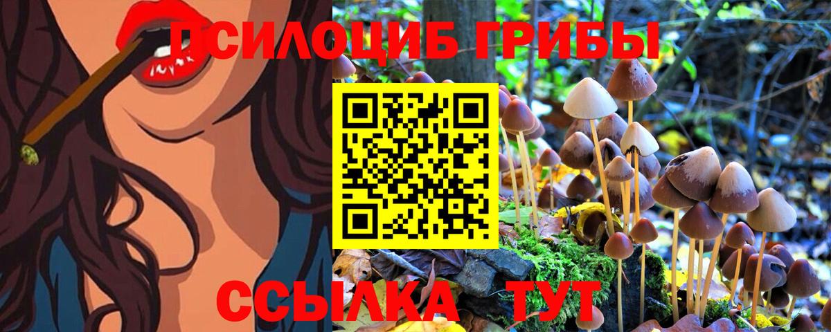 Псилоцибиновые грибы Cubensis  Вход с VPN  Галлюциногенные грибы Magic Shrooms  Гуково 